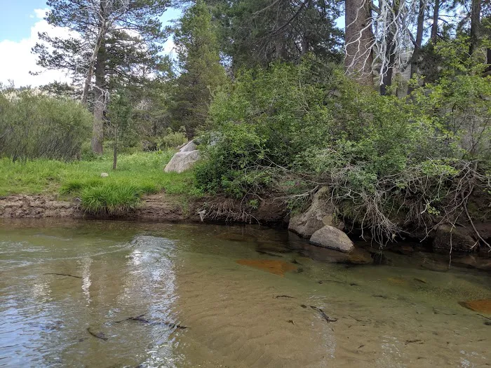 Hermit Valley Campground Picture 3