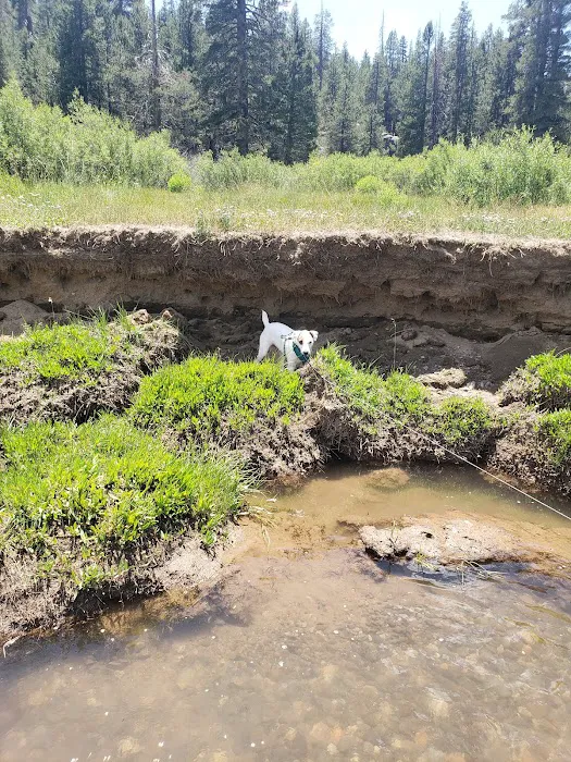 Hermit Valley Campground Picture 5