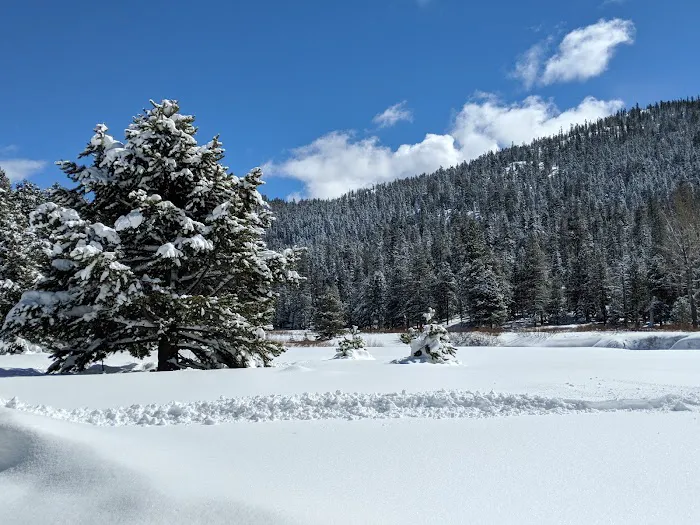 Hermit Valley Campground Picture 7