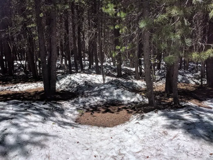 Hermit Valley Campground Picture 6