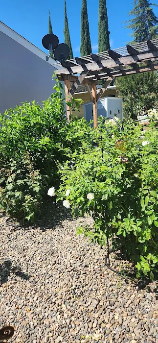 Villa Margarita Mobile Home Park Picture 4