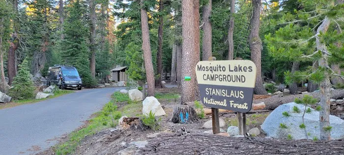 Mosquito Lakes Campground Picture 6