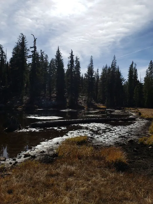 Mosquito Lakes Campground Picture 1