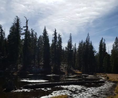 Mosquito Lakes Campground