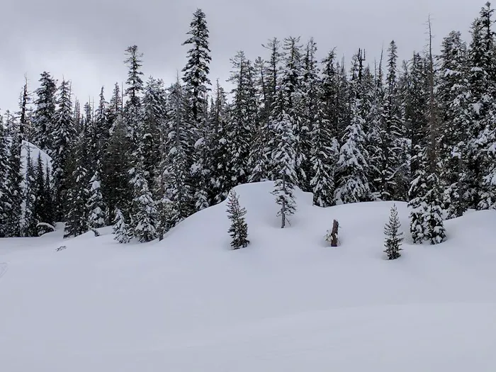 Mosquito Lakes Campground Picture 5