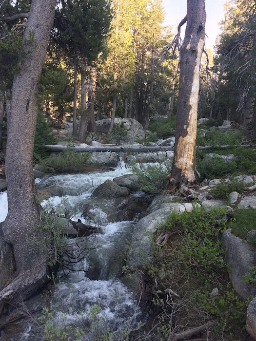 Pacific Valley Campground Picture 3