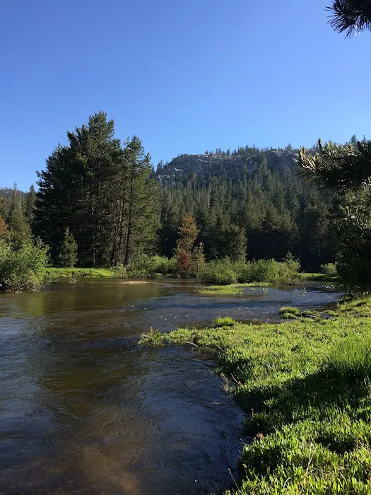 Pacific Valley Campground Picture 1