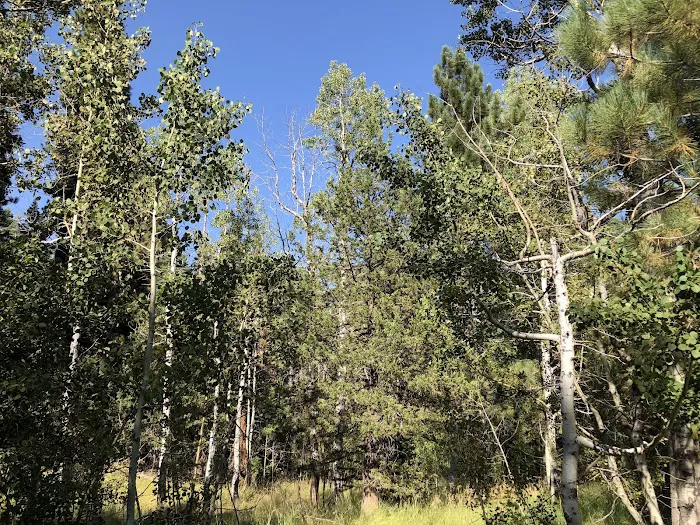 Silver Creek Campground Picture 3