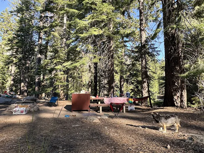 Silver Creek Campground Picture 1