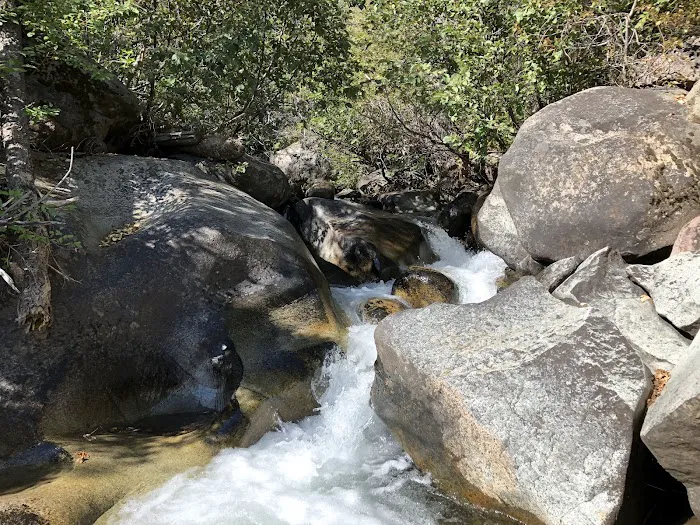 Silver Creek Campground Picture 4