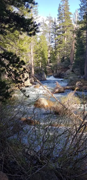 Bloomfield Campground Picture 6