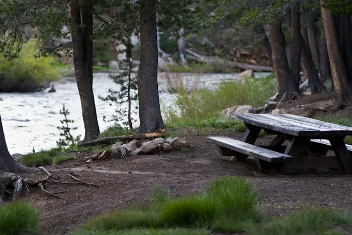 Bloomfield Campground Picture 5