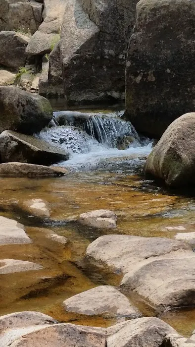 Bloomfield Campground Picture 2