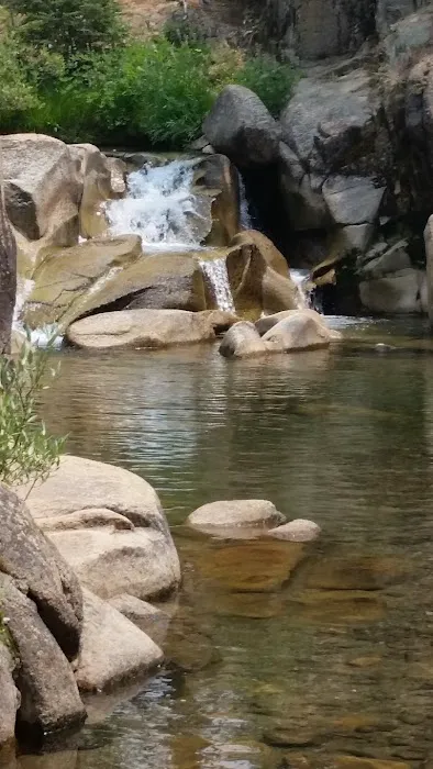 Bloomfield Campground Picture 1