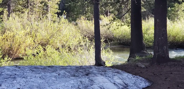 Bloomfield Campground Picture 3
