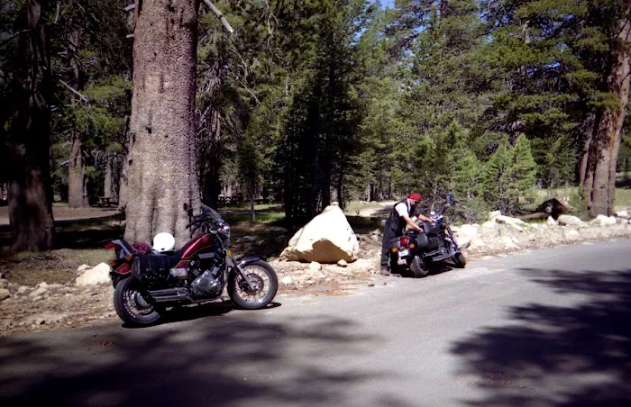 Bloomfield Campground Picture 9