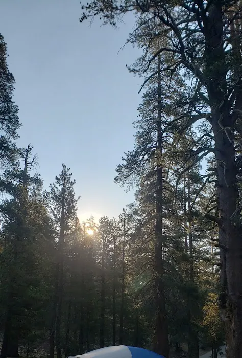 Bloomfield Campground Picture 8