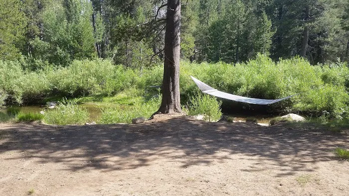 Bloomfield Campground Picture 7
