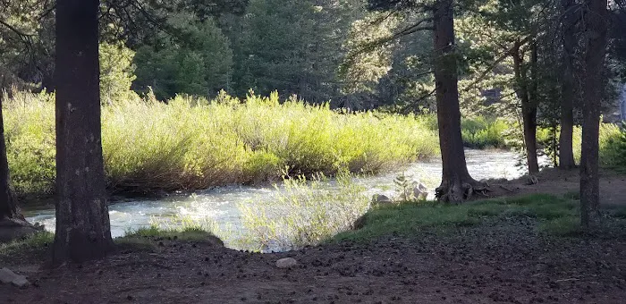 Bloomfield Campground Picture 4