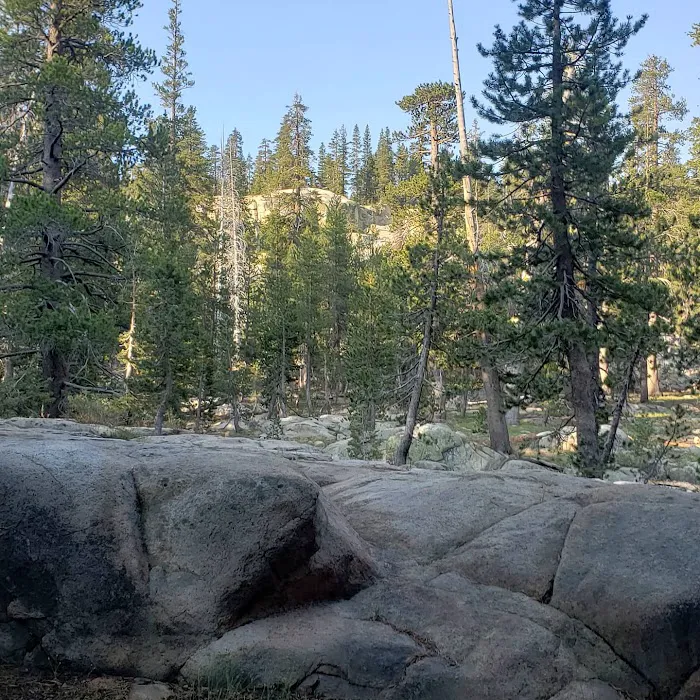 Bloomfield Campground Picture 10