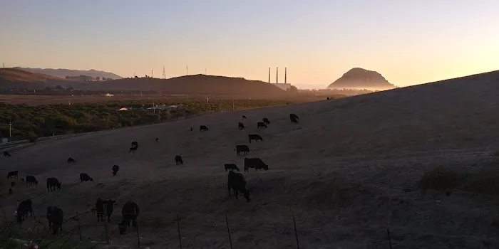 Rancho Colina Recreational Park Picture 4