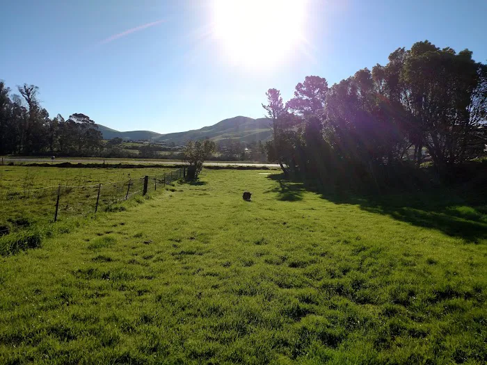 Rancho Colina Recreational Park Picture 9