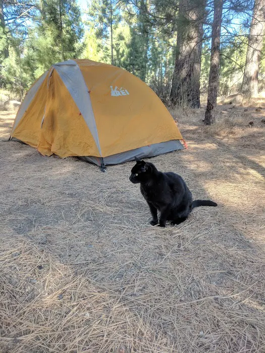 Turtle Rock Park Campground Picture 10