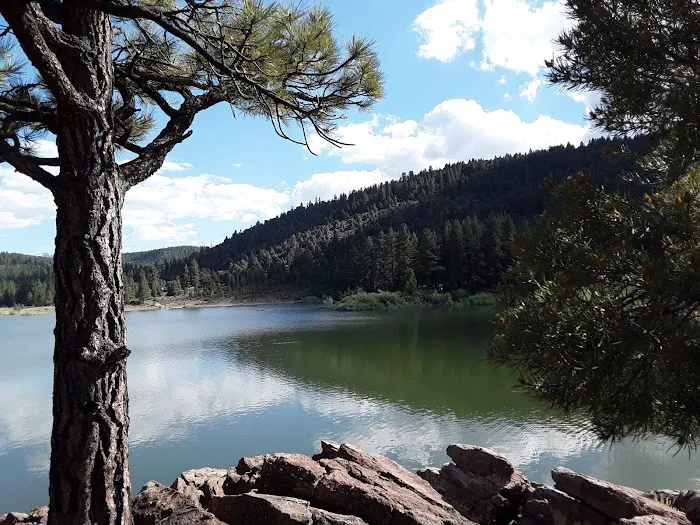 Indian Creek Campground Markleeville CA Picture 4