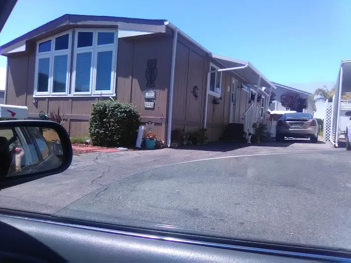 Bay Pines Mobile Home Park Picture 4