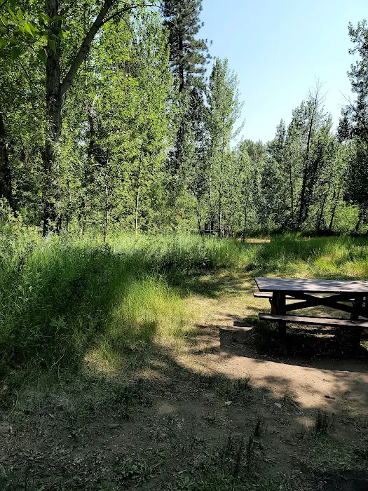 Markleeville Campground Picture 10
