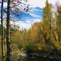 Markleeville Campground ico