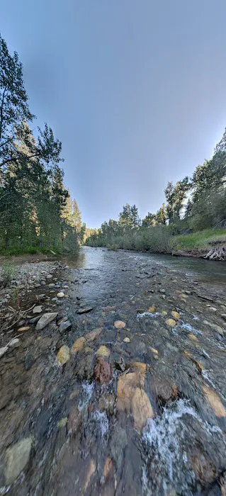 Markleeville Campground Picture 3