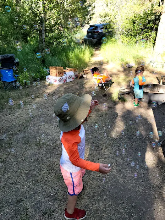 Markleeville Campground Picture 9