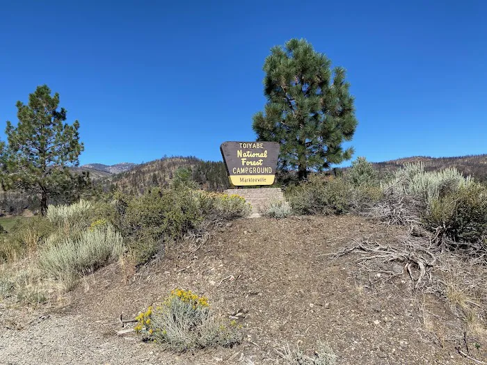 Markleeville Campground Picture 5