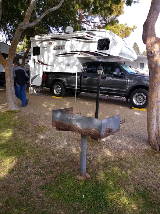 Bay Pines Travel Trailer Park Picture 10