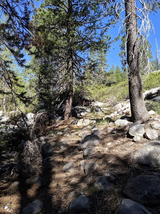 Backpackers Campground Picture 1