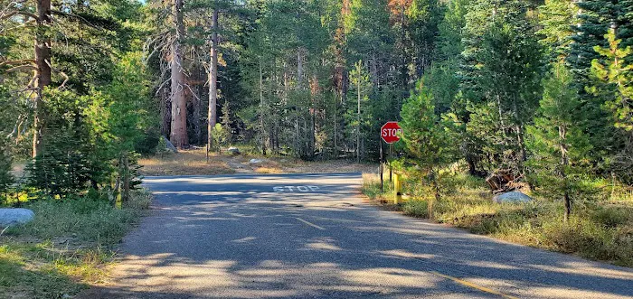 Pine Marten Campground Picture 7