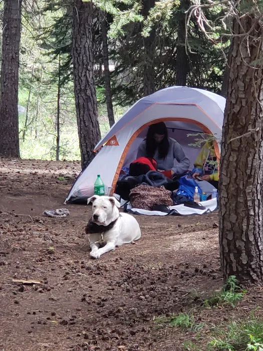Pine Marten Campground Picture 9