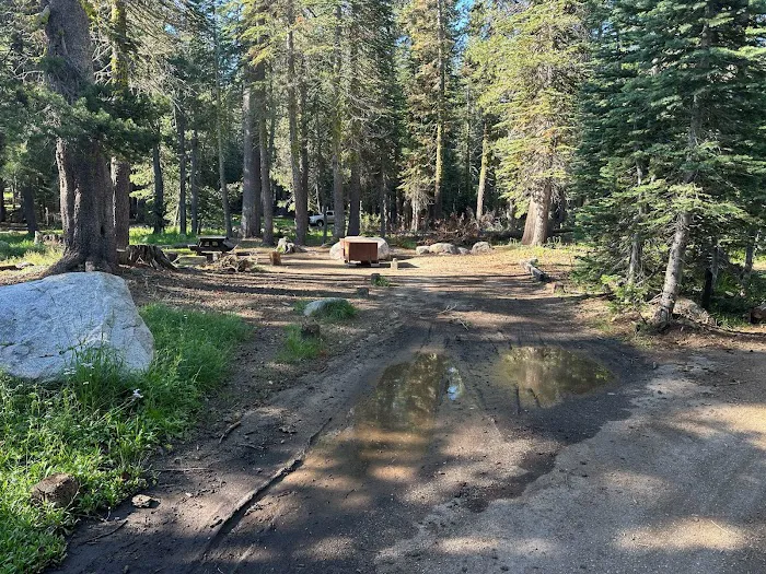 Pine Marten Campground Picture 5