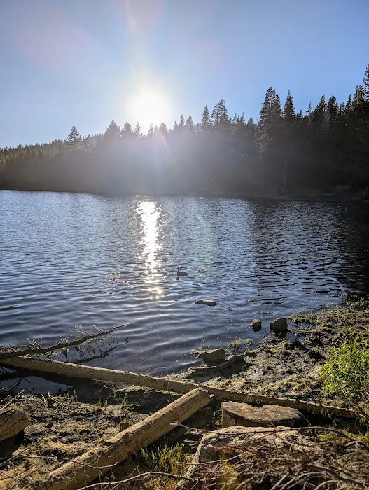Pine Marten Campground Picture 8