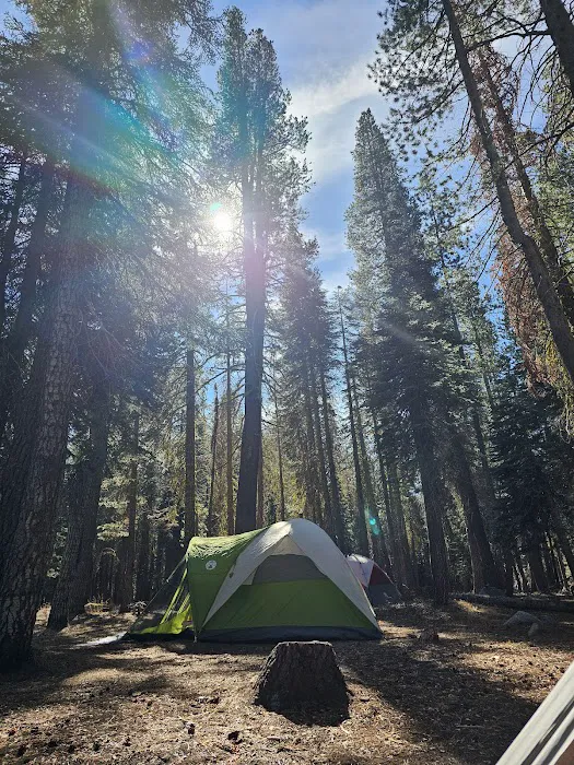Pine Marten Campground Picture 3