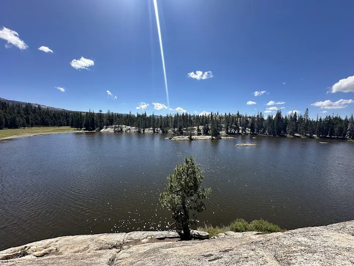 Silver Valley Campground Picture 3