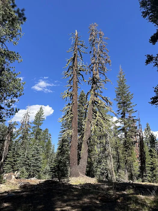 Silver Valley Campground Picture 7
