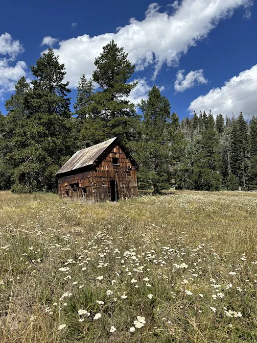Silver Valley Campground Picture 6
