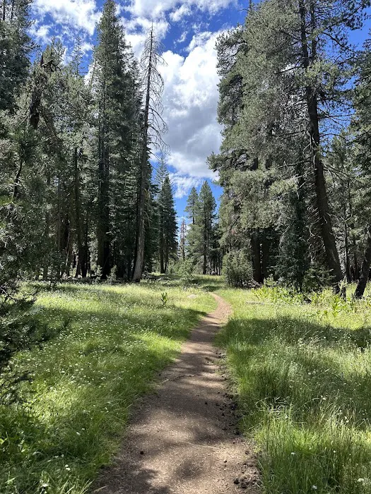 Silver Valley Campground Picture 4