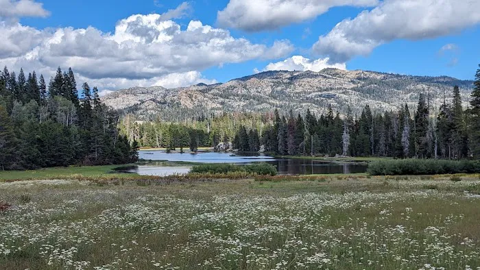 Silver Valley Campground Picture 2