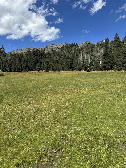 Silver Valley Campground Picture 8