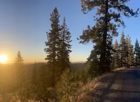 Black Springs OHV Campground