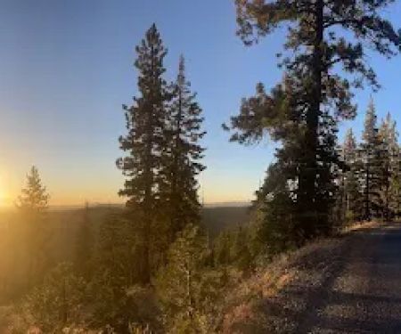 Black Springs OHV Campground