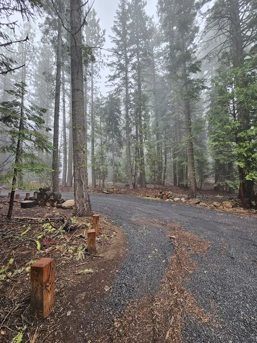 Black Springs OHV Campground Picture 10